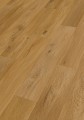 7399_rigid_RD300S_Perspektive_min.jpg